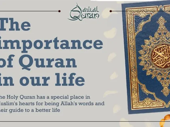 How Does Reading the Holy Quran Impact Our Life?