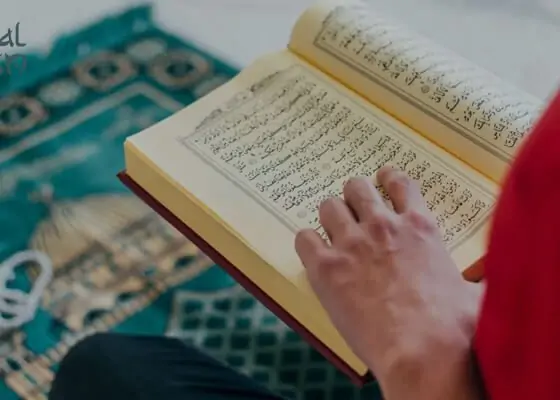 The Importance, Benefits, and Understanding of Learning Quran Translation