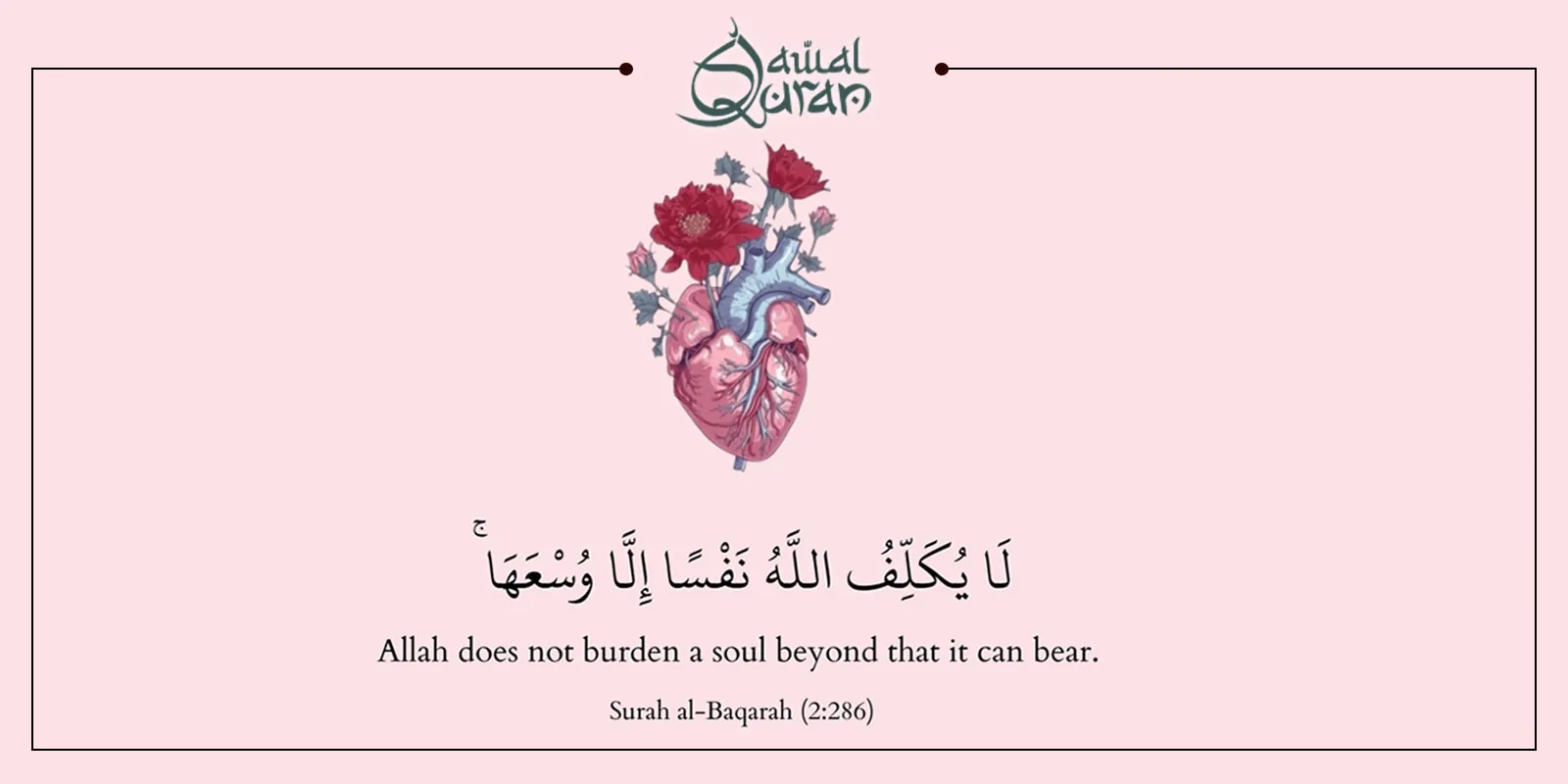 Visual representation of a heart accompanied by the phrase "Alhamdulillah, the heart is the most important organ of the body.