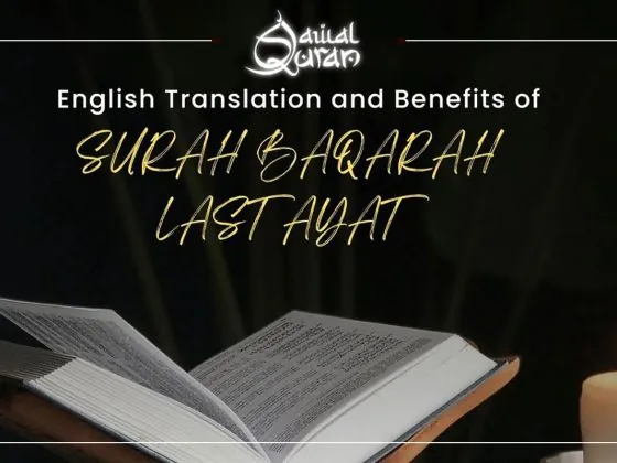 Why the Last 2 Ayat of Surah Al Baqarah Are Special