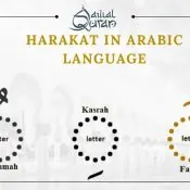 whats harf tawkeed | harakat in arabic language