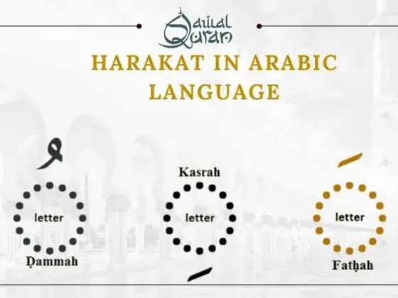 What is Harakat and Harf Tawkeed in Tajweed? Complete Arabic Guide