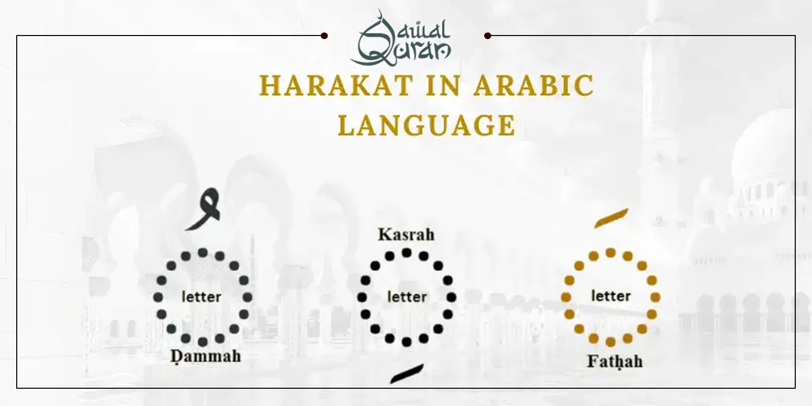 whats harf tawkeed | harakat in arabic language